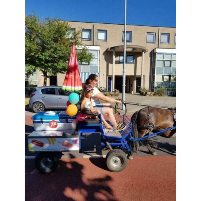 Ijskarretje voor pony tot 105 cm