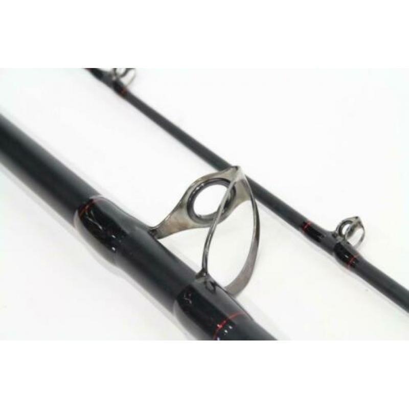 Berkley catfish spin 302 500gr | meerval hengel 367