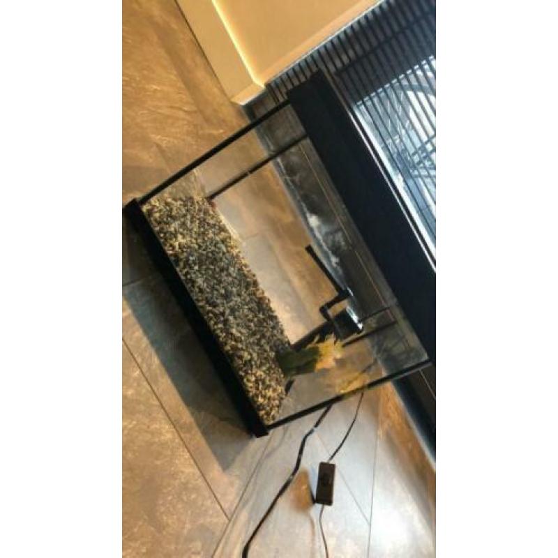 Super fish aquarium compleet