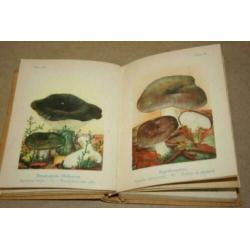 Fraai oud boek over paddestoelen - Met kleurenlitho's !!
