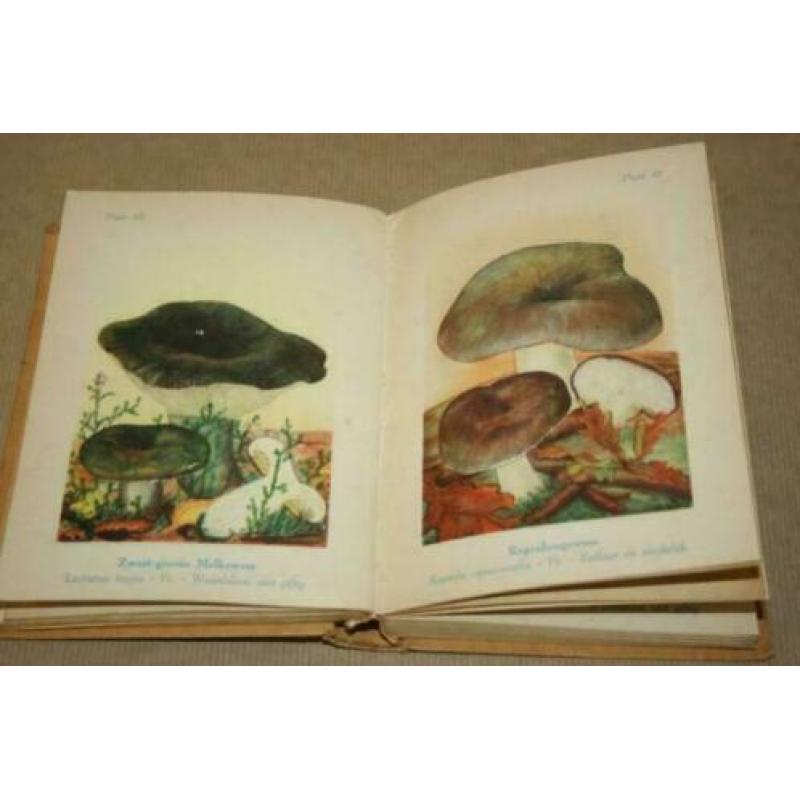 Fraai oud boek over paddestoelen - Met kleurenlitho's !!