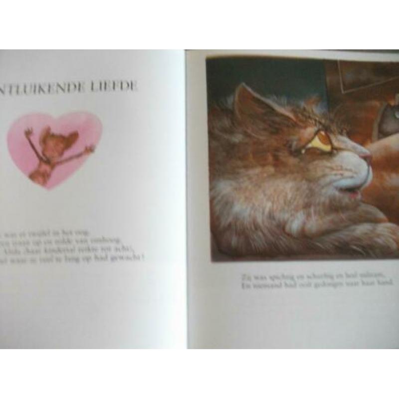 0537 / een liefdesgeschiedenis van een kat en een muis