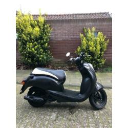 sym mio 50 snor scooter zwart !!