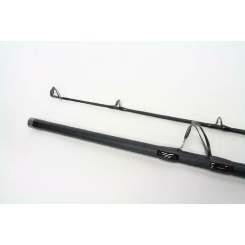 Berkley catfish spin 302 500gr | meerval hengel 367