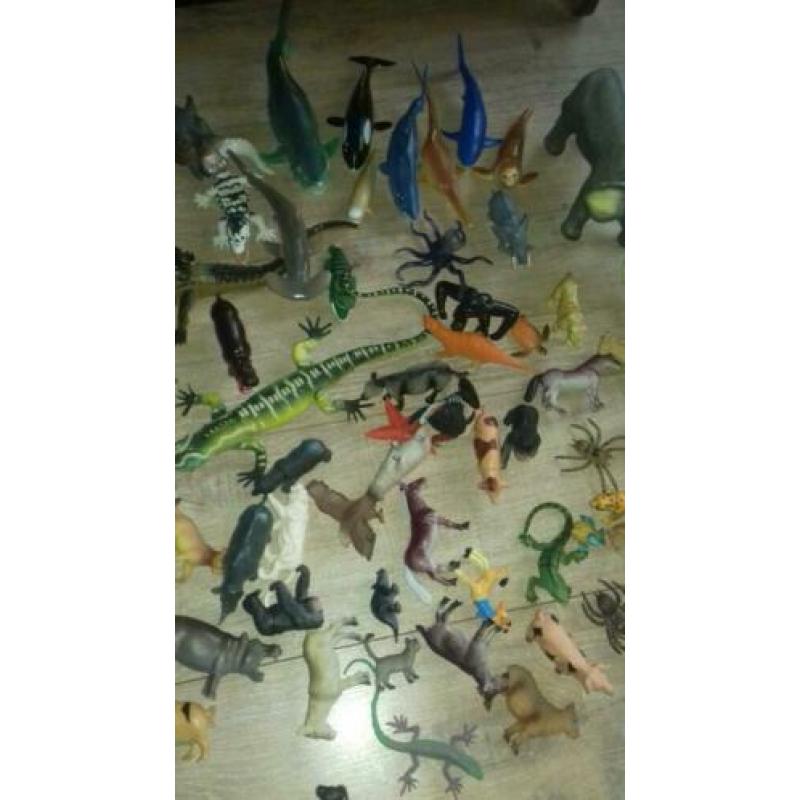 Grote verzameling dieren reptielen zee boederij jungle