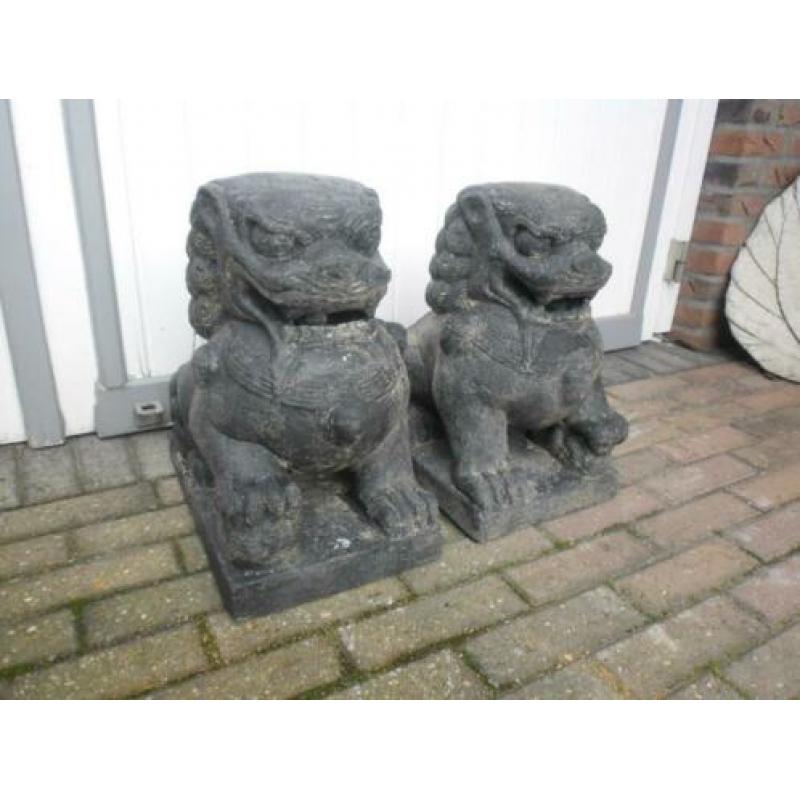 Foo Dogs