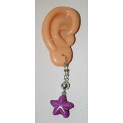 Ster oorbellen met clips, haakjes of stekers (4240)