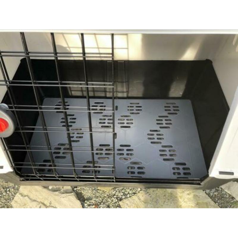 Bench voor honden