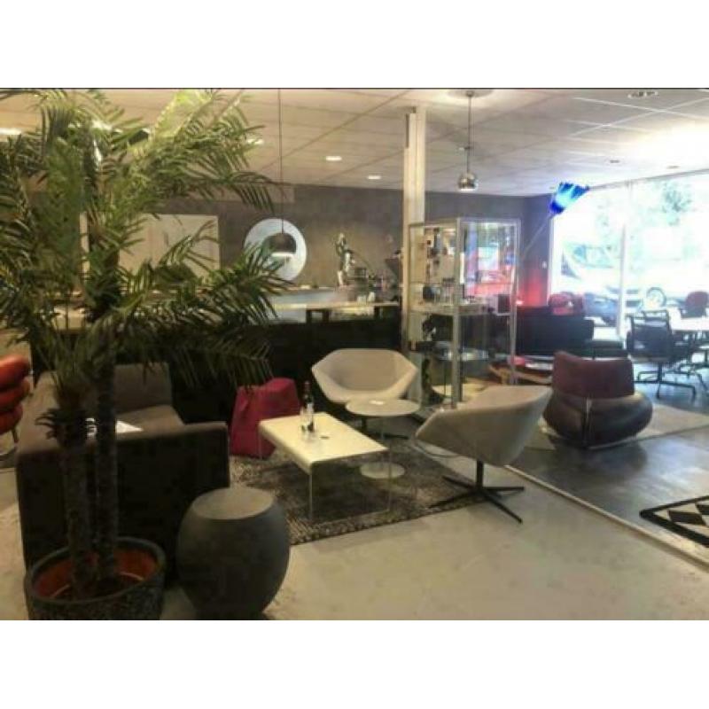 2 Montis Ella fauteuils bij TheReSales