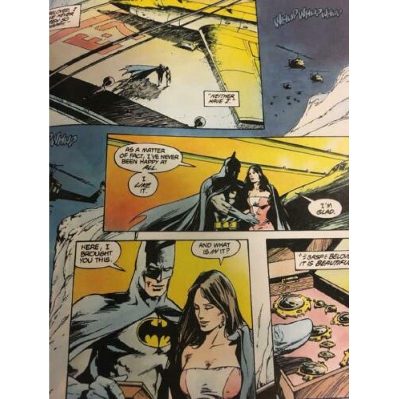 Batman - son of the demon