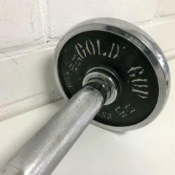 Verchroomd 15 kg halter