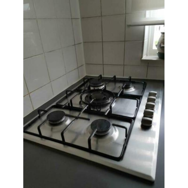 Everglades kookplaat 68 breed 50 lang