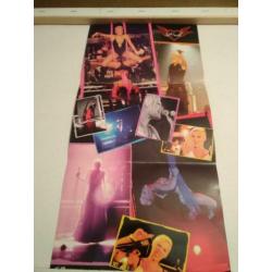 Pink Live from Wembley Arena London England