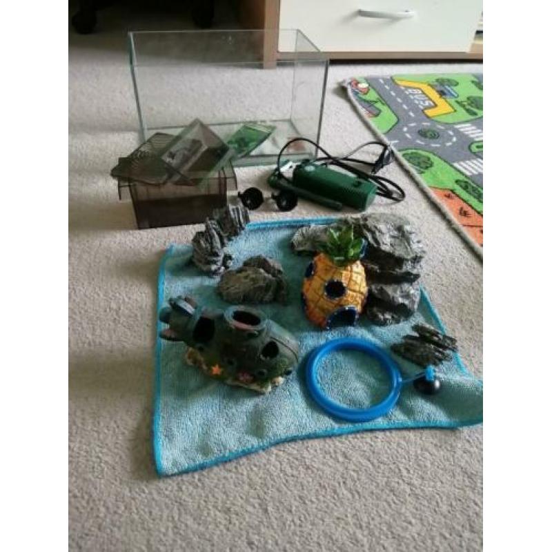 Accessories aquarium