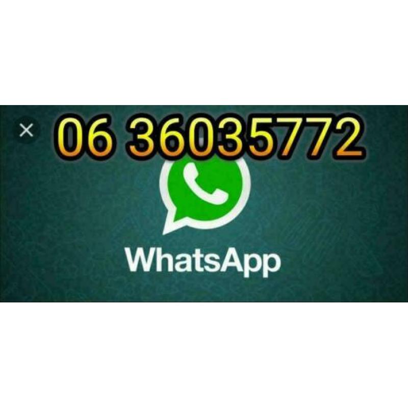 Fish Pharma Wondgel /Bacteriële infecties/ antibiotacagel