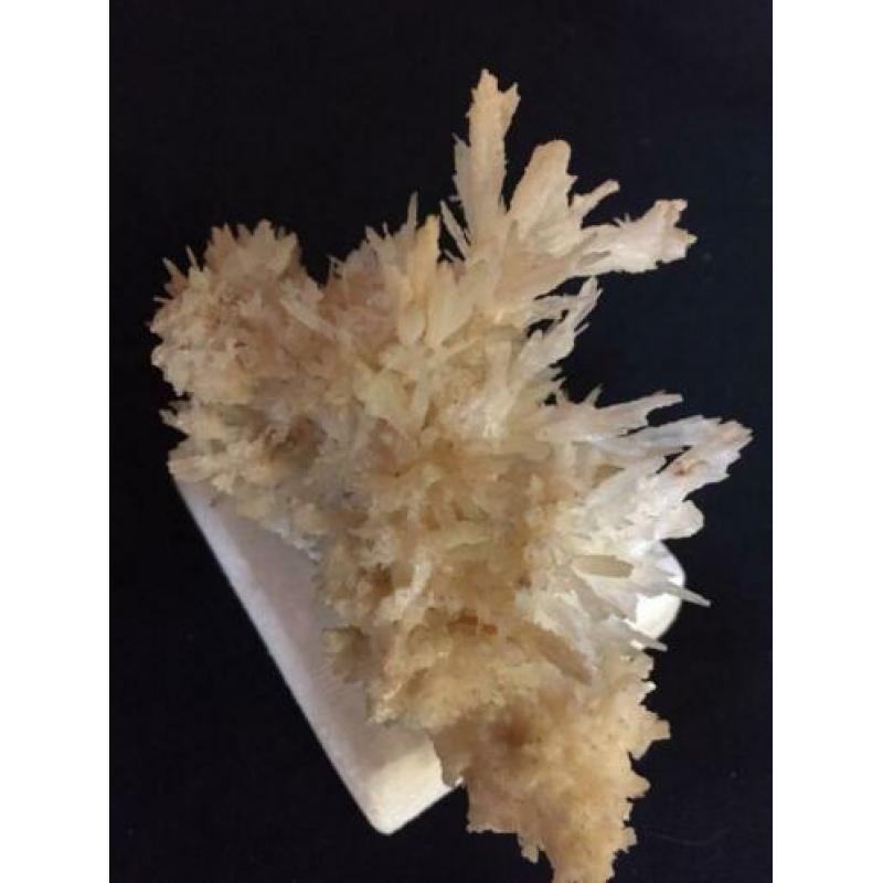 Mineralen uit Italië