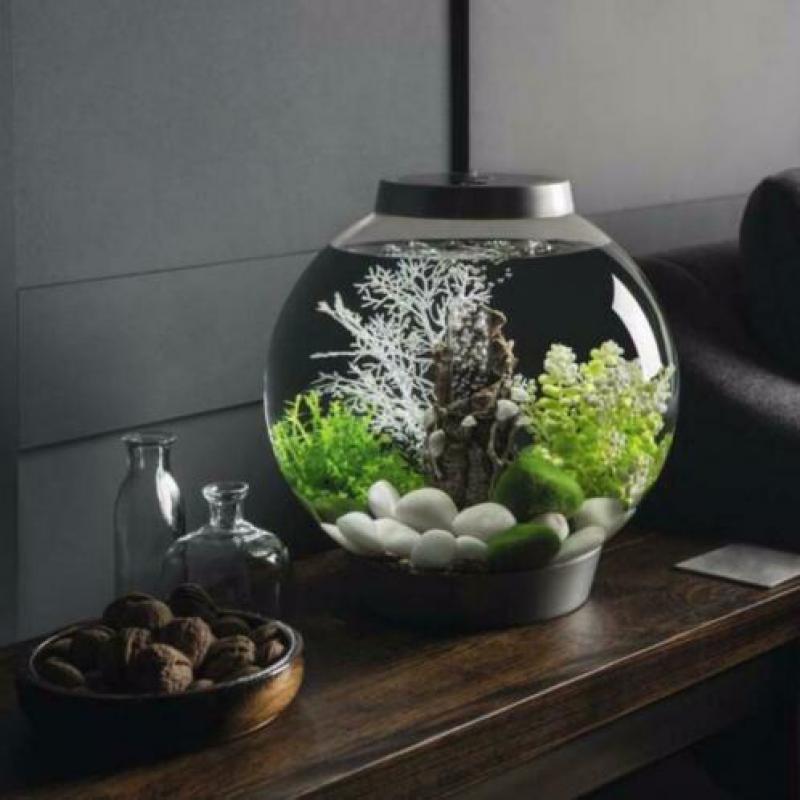 biOrb CLASSIC | 15 MCR | Zwart