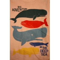 Jongens Korte Mouwen T-Shirt Maat 128 (in the deep sea) C&A