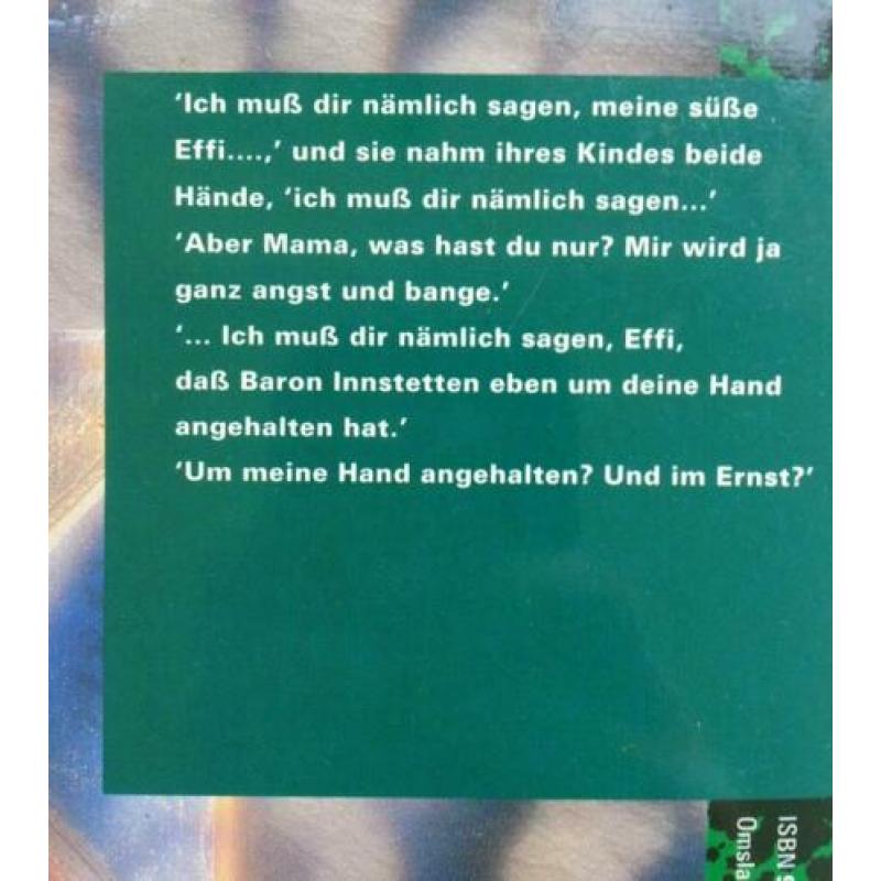 Theodor Fontane - Effi Briest (DUITSTALIG)