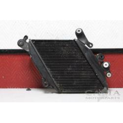 RADIATEUR Ducati Diavel (01-1970/-)