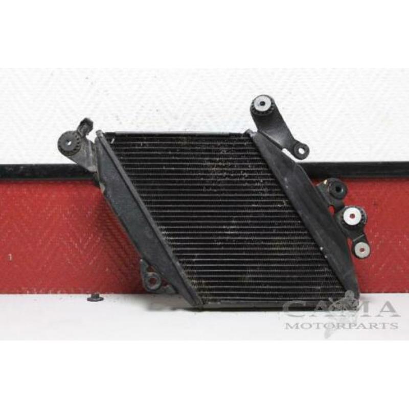 RADIATEUR Ducati Diavel (01-1970/-)