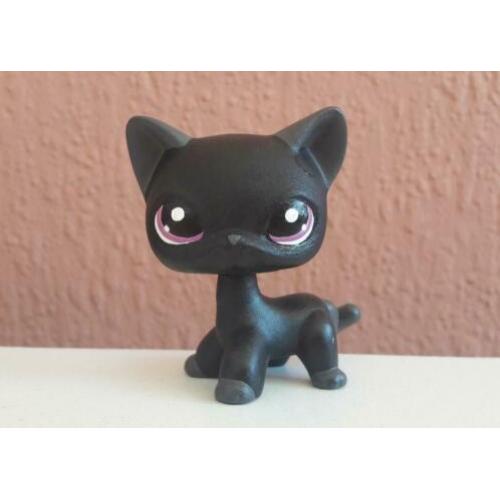 Littlest Pet Shop LPS Shorthair Cat Custom Repaint Petshop