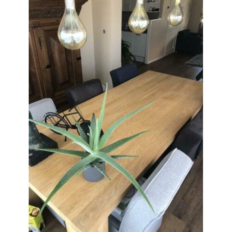 Eiken fineer Eettafel incl. 6 stoelen