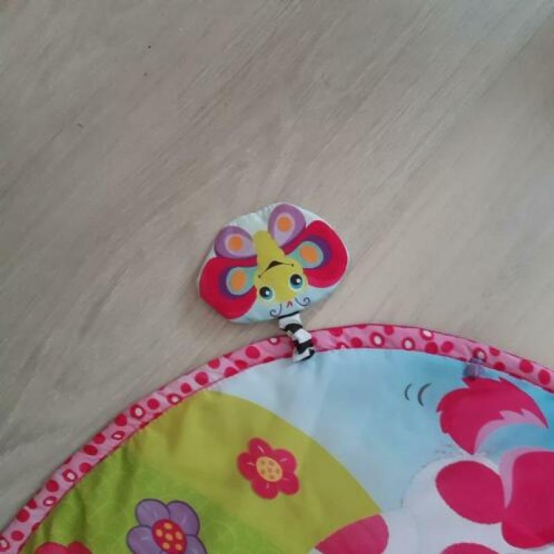Baby tiny love speelkleed met toebehoren.