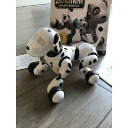 Zoomer robothond