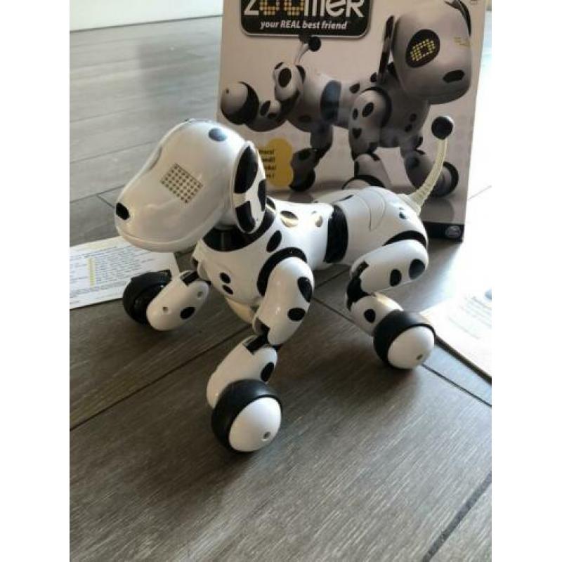 Zoomer robothond