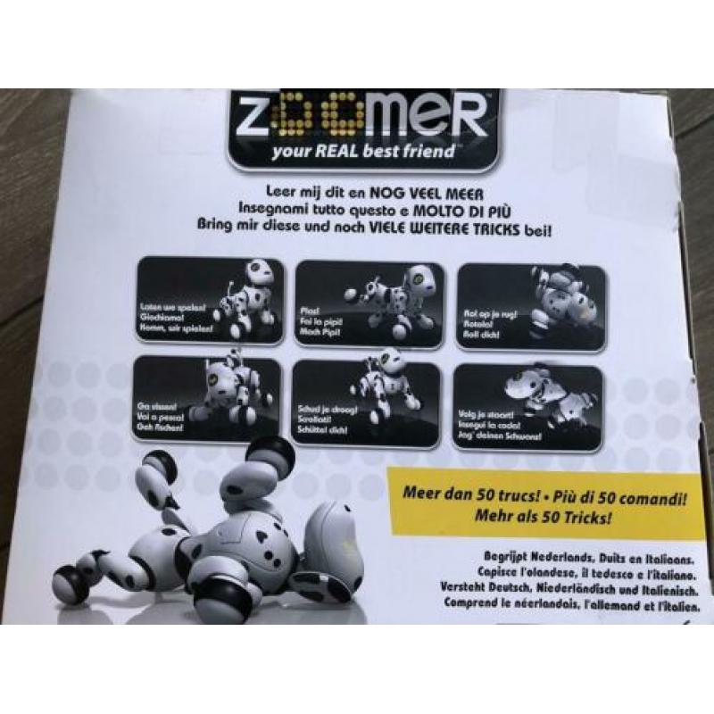 Zoomer robothond
