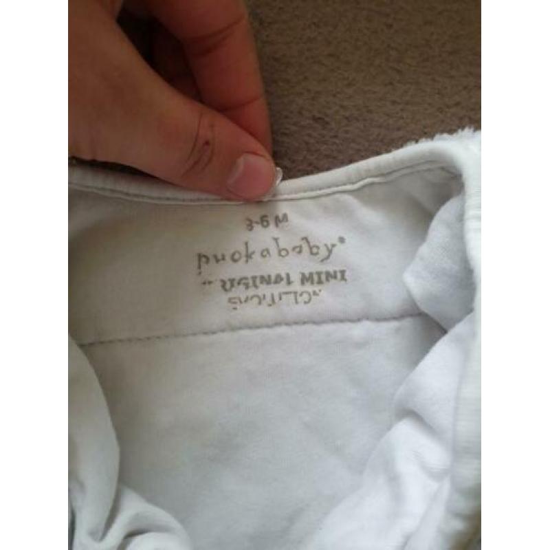 2x puckababy Piep Teddy waarvan 1 NIEUW!