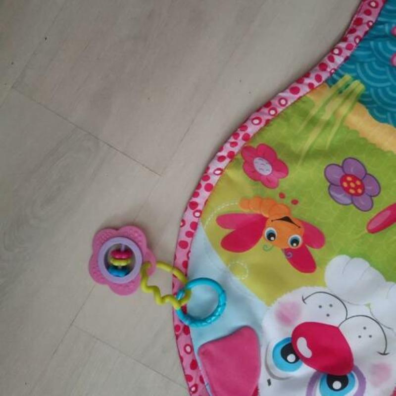 Baby tiny love speelkleed met toebehoren.
