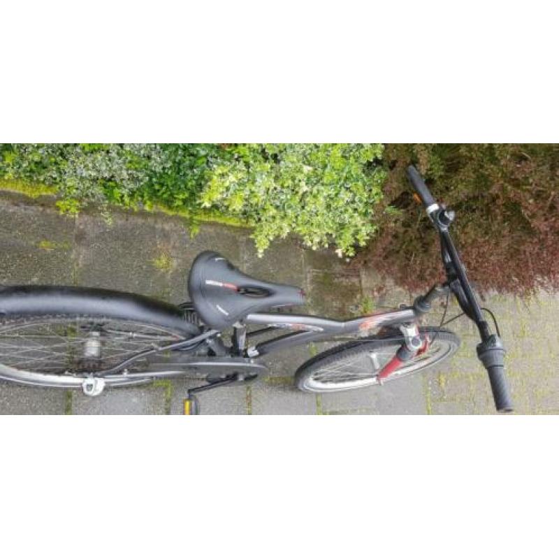 Batavus Snake 24 inch