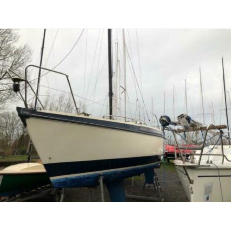 Bavaria 770 in goede staat