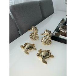 zeepaard en schildpad