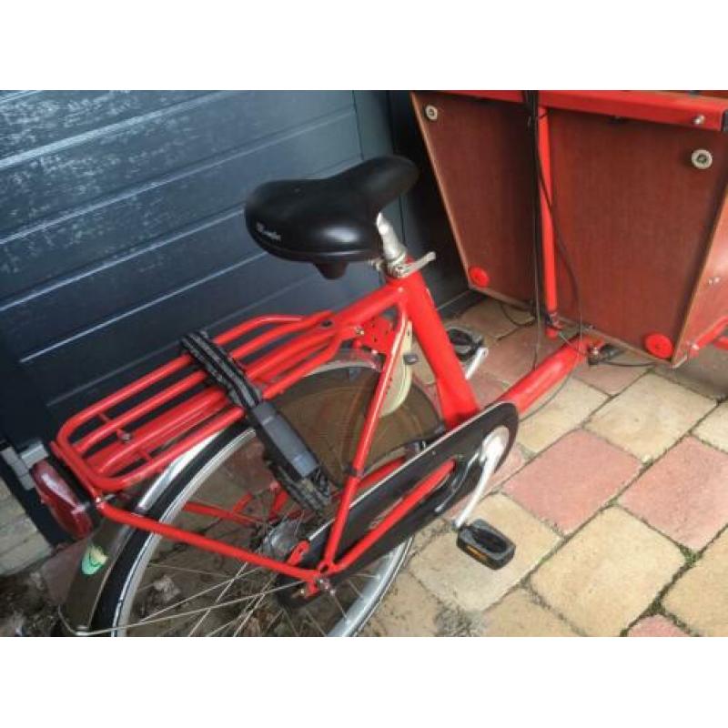 Bakfiets punt nl cargo trike