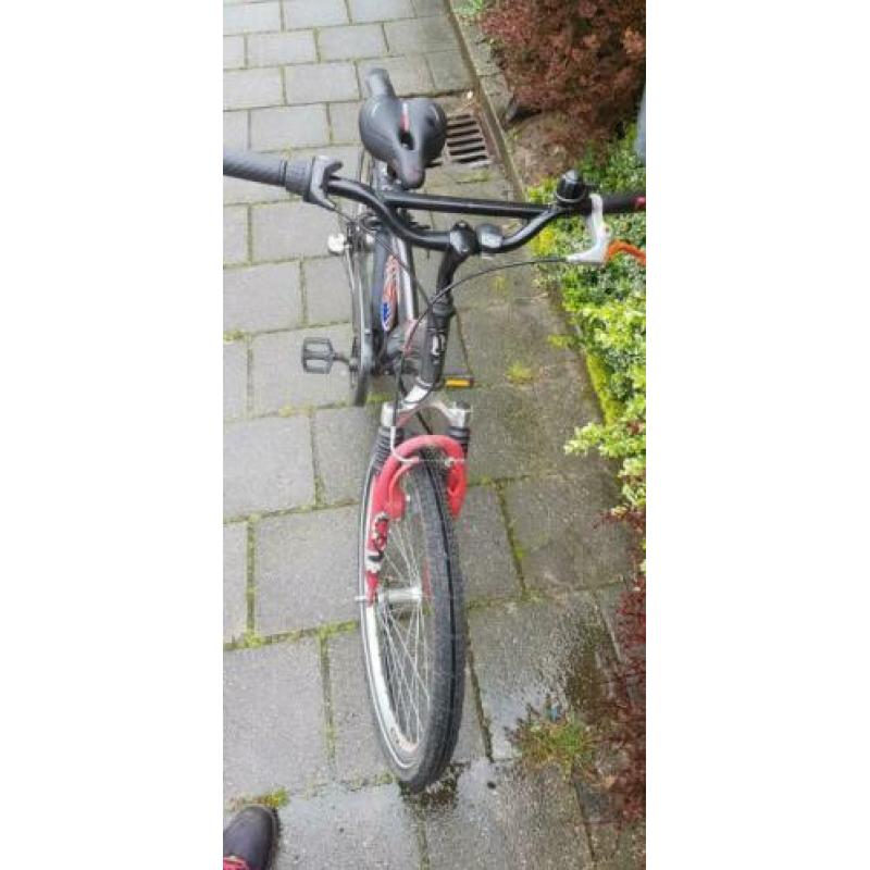 Batavus Snake 24 inch