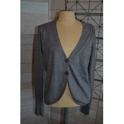 Inwear grijs vest in maat xl - s74