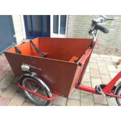 Bakfiets punt nl cargo trike
