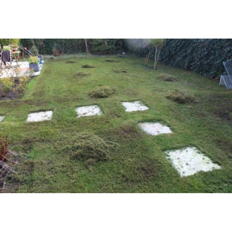 Verticuteermachine Gardena tegen mos; te leen tegen vergoedi