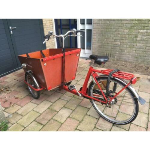 Bakfiets punt nl cargo trike