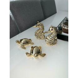 zeepaard en schildpad