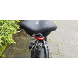 Batavus Snake 24 inch