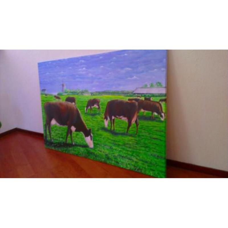 Koeien, groot landelijk schilderij 80x120cm, kunst