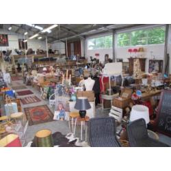 Schilderij Tousain schitterende voorstelling paarden