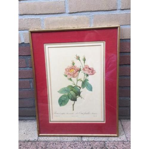 Klassiek schilderij met rozen