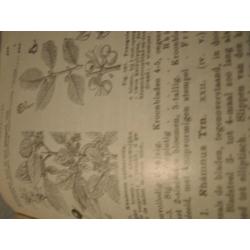 1924 - Flora boek .