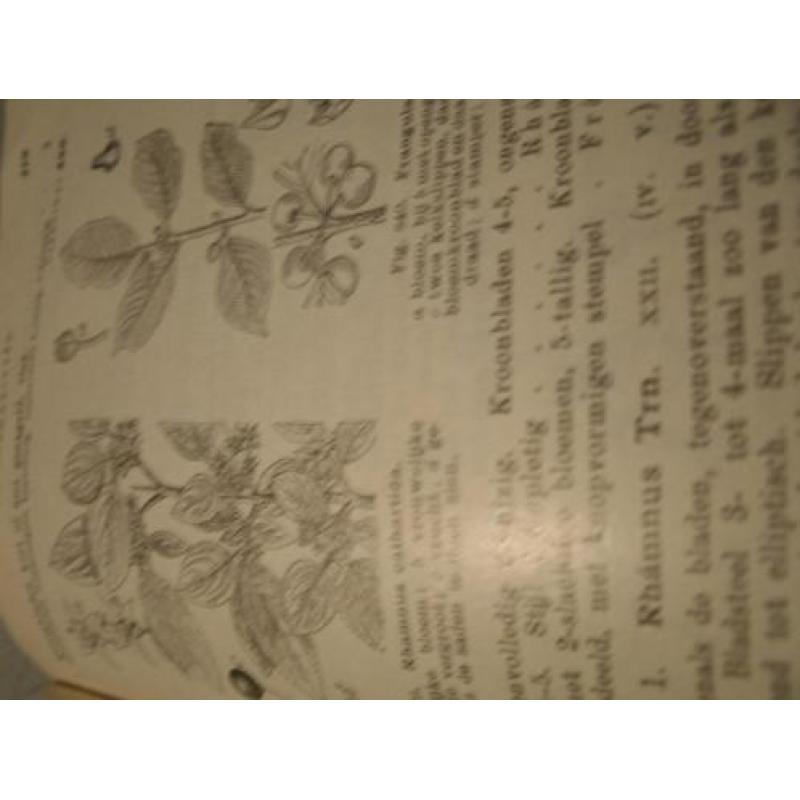 1924 - Flora boek .