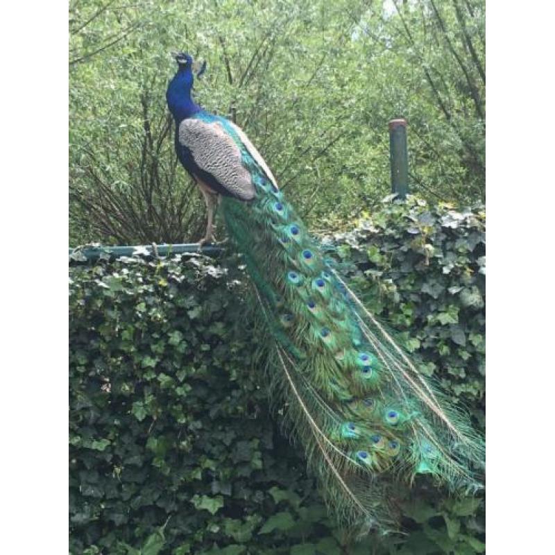 een nieuwe start als je dat wilt is dat boerderij of natuur